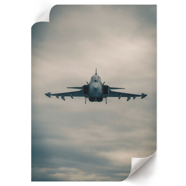 Poster na stenu Moderný bojovník