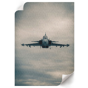 Poster na stenu Moderný bojovník