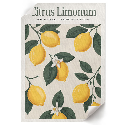 Plagát do obývačky Citrus limonum