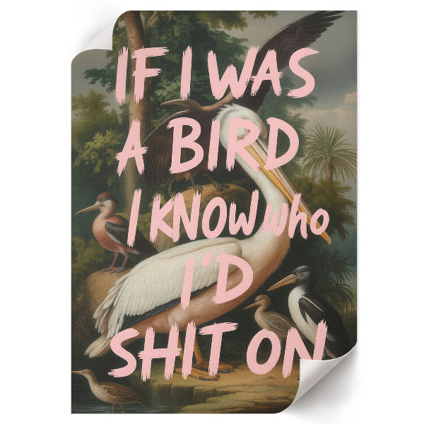 Retro plagát Vtáky s nápisom