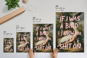 Retro plagát Vtáky s nápisom