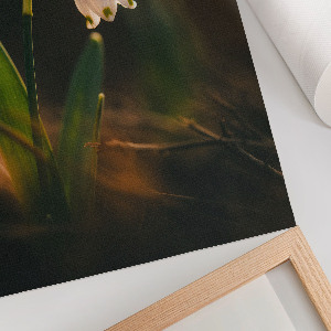 Retro plagát Jarná snežienka