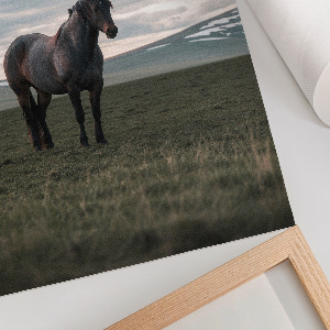 Poster na stenu Ranný pokoj