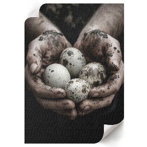 Plagát do obývačky Prírodné vajcia