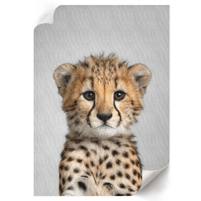 Plagát do izby Mladý gepard