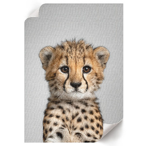 Plagát do izby Mladý gepard