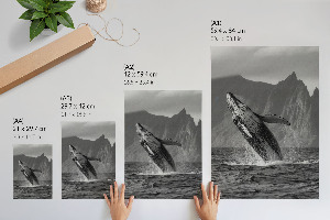 Poster na stenu Skok veľryby