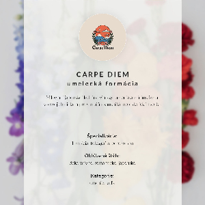 Plagát do obývačky Ľadová kráľovná