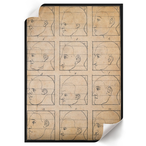 Plagát do obývačky Dvanásť profilov