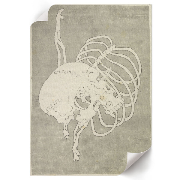 Poster na stenu Lebka