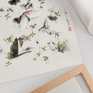 Poster na stenu Motýle a mole