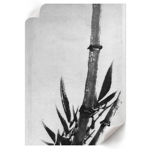 Plagát do izby Bambus