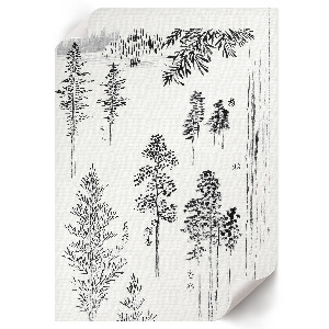 Plagát do izby Borovice