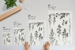 Plagát do izby Borovice