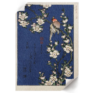 Retro plagát Robin na konári