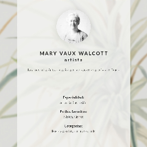 Plagát do obývačky Divoký ananás