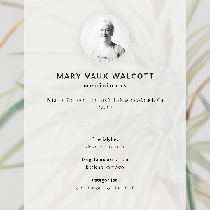 Plagát do obývačky Divoký ananás