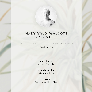 Plagát do obývačky Divoký ananás