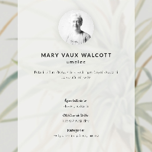 Plagát do obývačky Divoký ananás