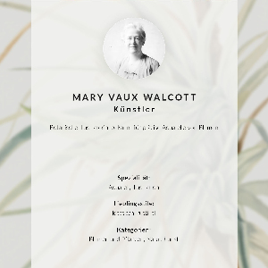 Plagát do obývačky Divoký ananás