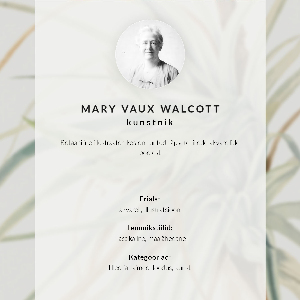 Plagát do obývačky Divoký ananás