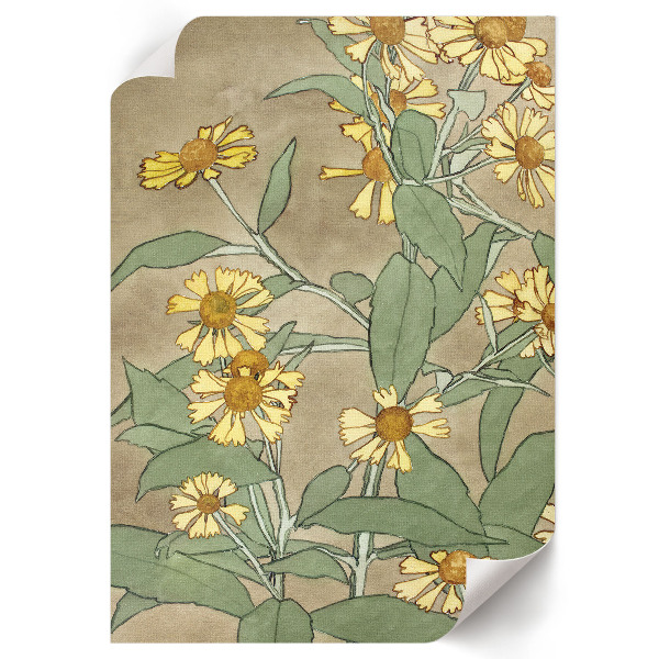 Plagát do izby Sedmokrásky