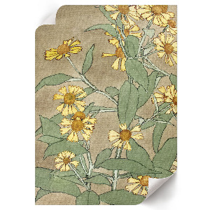 Plagát do izby Sedmokrásky