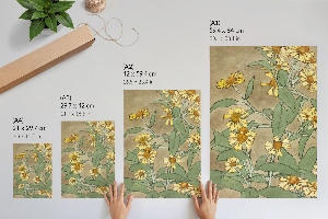 Plagát do izby Sedmokrásky