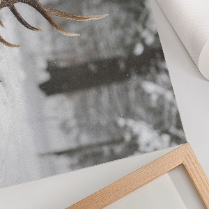 Poster Parohy v snehu