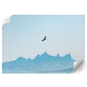 Poster Sloboda v horách