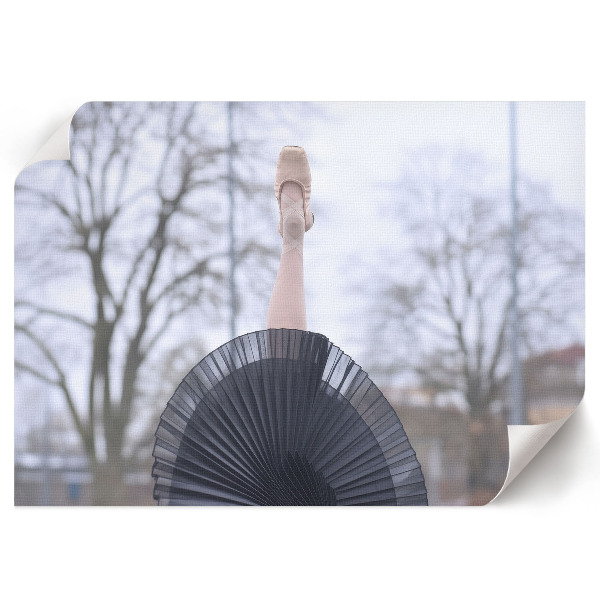 Plagát na stenu Elegantný balet