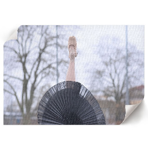 Plagát na stenu Elegantný balet