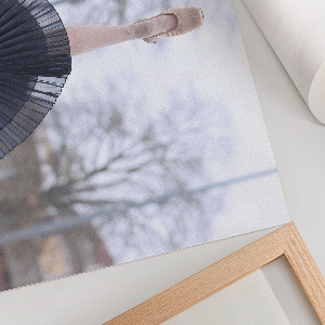 Plagát na stenu Elegantný balet