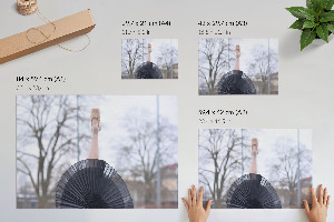 Plagát na stenu Elegantný balet