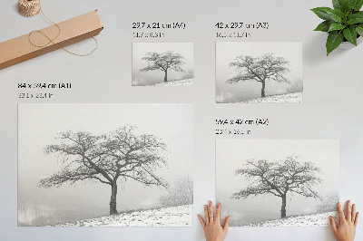 Plagát na stenu Zimný strom