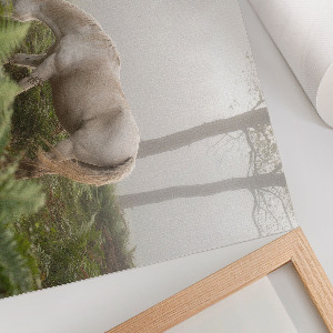 Plagát Kôň v lese