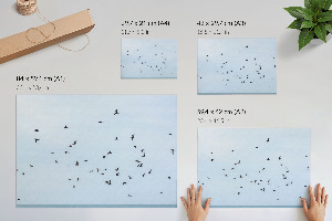 Plagát na stenu Vtáky za letu