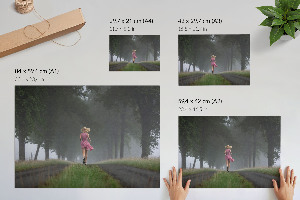 Plagát na stenu Beh lesom