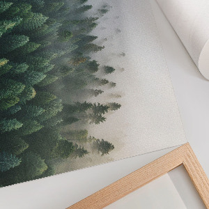 Plagát Tajomný les