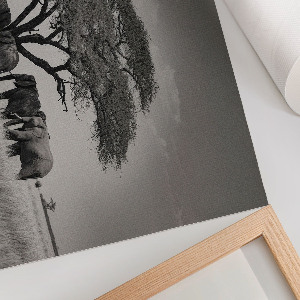 Poster Africká savana