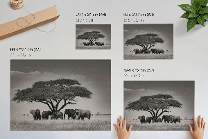 Poster Africká savana