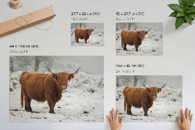 Poster Zimná scéna