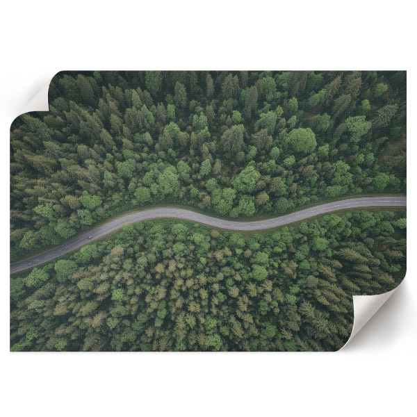 Plagát Lesná cesta