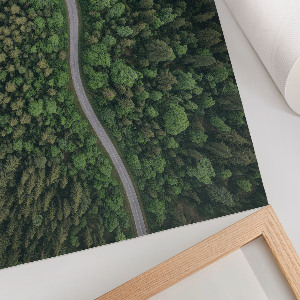 Plagát Lesná cesta