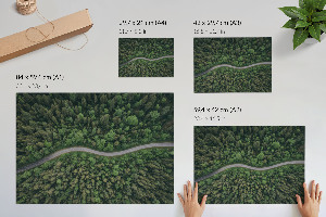 Plagát Lesná cesta