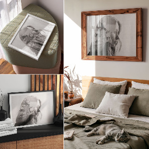 Plagát Tvár stromu