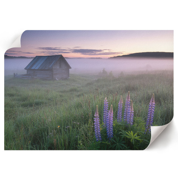 Plagát na stenu Hmlisté ráno