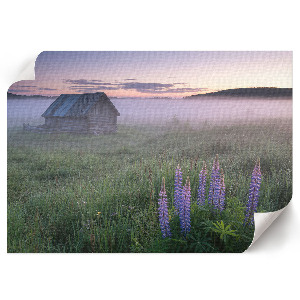 Plagát na stenu Hmlisté ráno