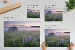 Plagát na stenu Hmlisté ráno