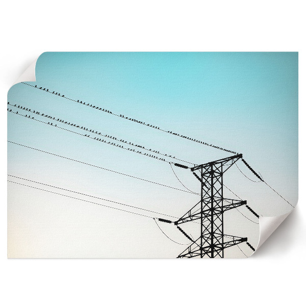 Plagát na stenu Vtáky na drôtoch